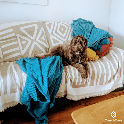 CouchCare™️ Couch Protector