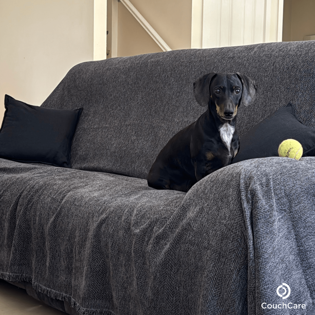 CouchCare™️ Couch Protector