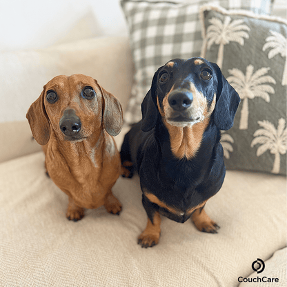 CouchCare™️ Couch Protector