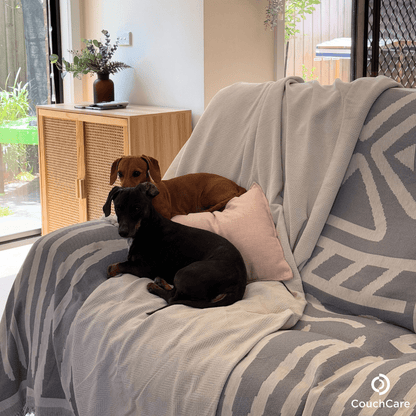 CouchCare™️ Couch Protector