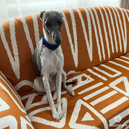 CouchCare™️ Couch Protector