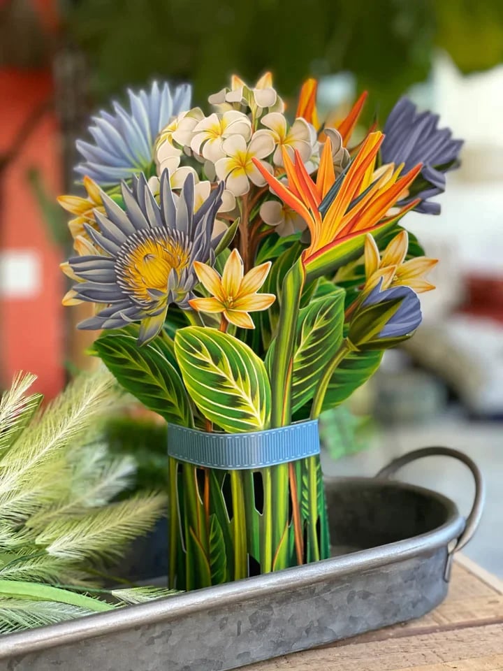 Imsgurus🔥Flowers That Bloom Forever!