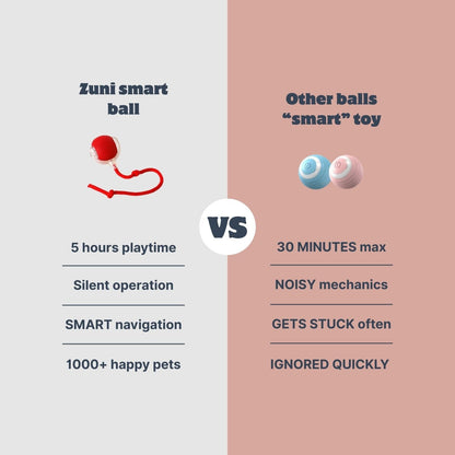 Zuni™ - Your Pet's New Obsession
