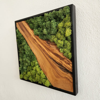 Custom Made Moss and Olive Wood Wall Art, Metal Frame Moss Wall Decor, Olive Wood and Moss Wall Art- Preserved Stabilized Moss Wall Decor