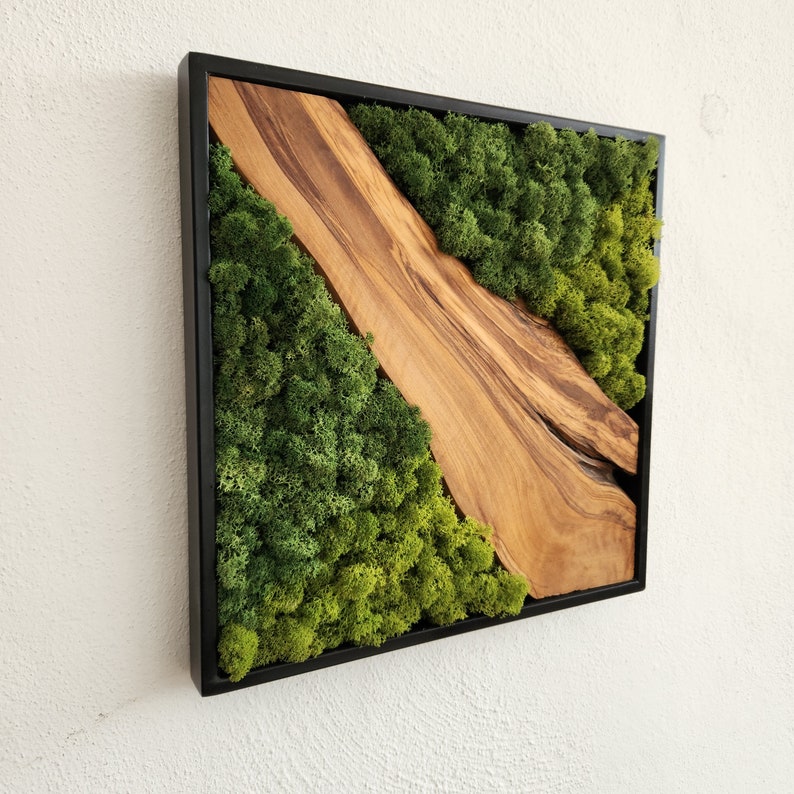 Custom Made Moss and Olive Wood Wall Art, Metal Frame Moss Wall Decor, Olive Wood and Moss Wall Art- Preserved Stabilized Moss Wall Decor