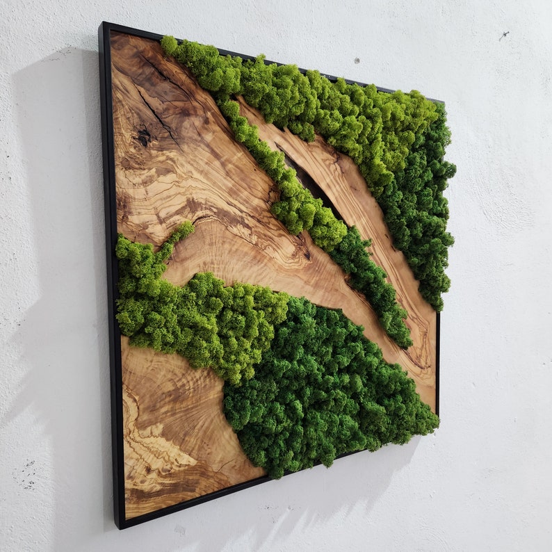 Custom Made Moss and Olive Wood Wall Art, Metal Frame Moss Wall Decor, Olive Wood and Moss Wall Art- Preserved Stabilized Moss Wall Decor