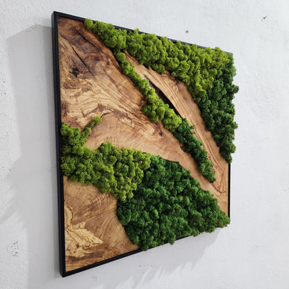 Custom Made Moss and Olive Wood Wall Art, Metal Frame Moss Wall Decor, Olive Wood and Moss Wall Art- Preserved Stabilized Moss Wall Decor