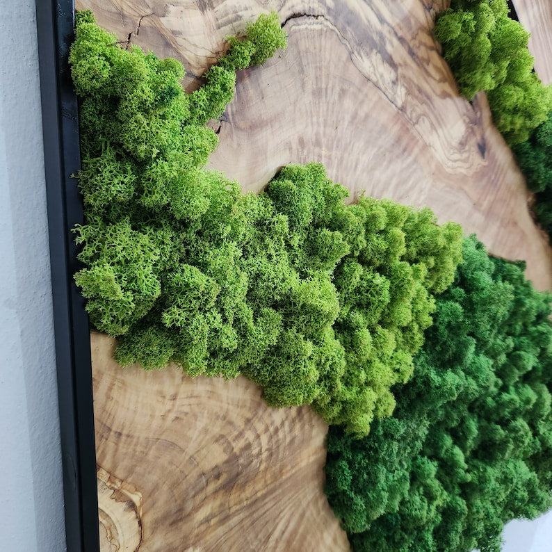 Custom Made Moss and Olive Wood Wall Art, Metal Frame Moss Wall Decor, Olive Wood and Moss Wall Art- Preserved Stabilized Moss Wall Decor