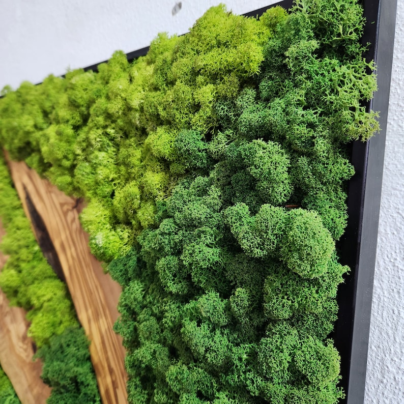 Custom Made Moss and Olive Wood Wall Art, Metal Frame Moss Wall Decor, Olive Wood and Moss Wall Art- Preserved Stabilized Moss Wall Decor